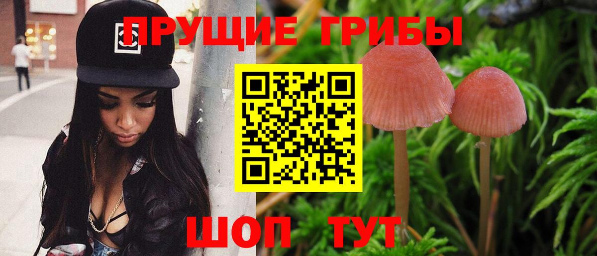 Галлюциногенные грибы Psilocybine cubensis  Вход с VPN  Ульяновск 